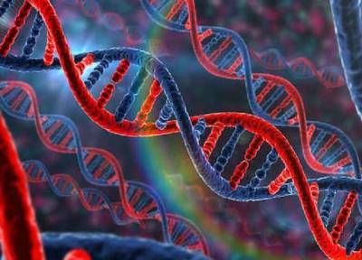 Гены и возраст: ученые доказали, что в 60 лет можно иметь молодые ДНК – как в 20