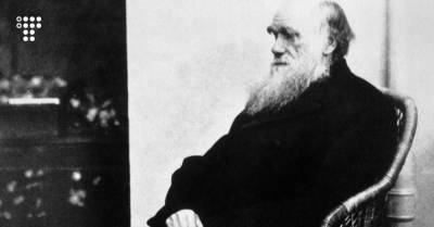 Чарльз Дарвин - Похоже, мы теперь знаем больше об «ужасной тайне» Чарльза Дарвина. Но приблизит ли это нас к ее разгадке? - hromadske.ua - Англия - Лондон
