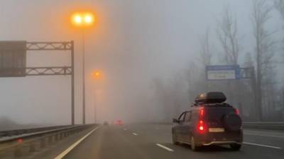 Водителей предупредили об ограниченной видимости на дорогах из-за тумана в Ленобласти