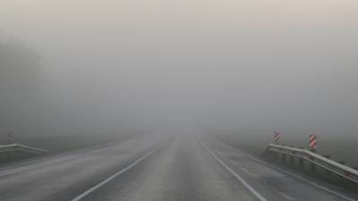 Москвичей предупредили о сильном тумане в ночь на понедельник