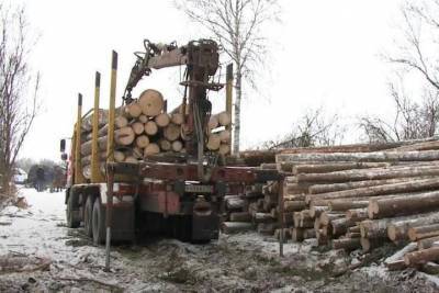В России планируют создать федеральную службу лесных инспекторов