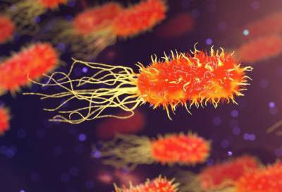 Бактерии развивают устойчивость к антибиотикам быстрее, чем ожидалось