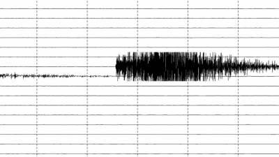 Сейсмологи зафиксировали землетрясение в Камчатском крае