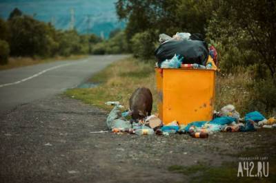 Суд оштрафовал власти кузбасского города из-за мусорного контейнера