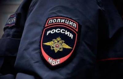 Полиция извинилась перед избитой силовиком россиянкой