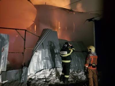 Пожар в автосервисе в Подмосковье ликвидировали