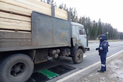 В Костромской области операция «Лес» в 2020 году сохранила 800 кубов древесины