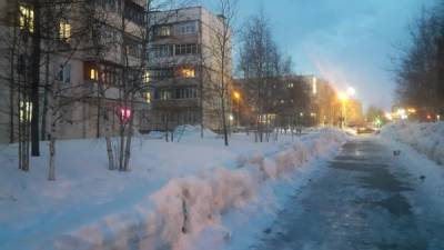 Свердловский Госжилстройнадзор проконтролирует уборку дворов от снега управляющими компаниями