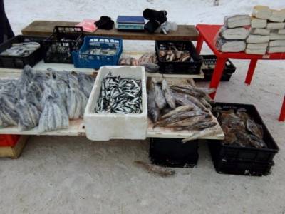 В Челябинске наказали уличных торговцев рыбой