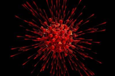 Российские ученые сделали первое в мире фото "британского" штамма коронавируса