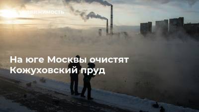 На юге Москвы очистят Кожуховский пруд