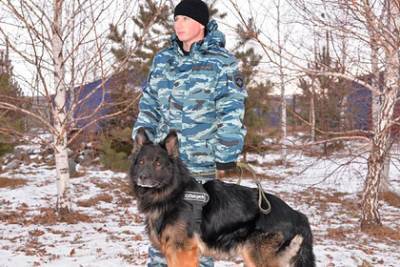 Российская полицейская овчарка учуяла преступников за два километра