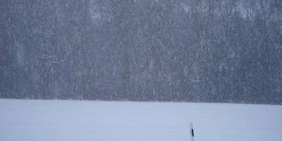 На Украину надвигается непогода: ожидается до 20 см снега, метели и гололед