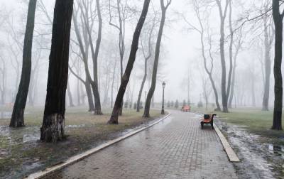 После сильных морозов температура в Киеве поднялась до максимума в истории