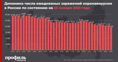 В России выявили минимум по числу новых случаев COVID-19 с 3 ноября