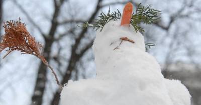 Снег и дожди, морозы и весеннее тепло: последняя неделю января принесет переменчивую погоду в Украину