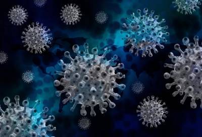 Где в Ленобласти выявили 219 случаев коронавируса к 25 января