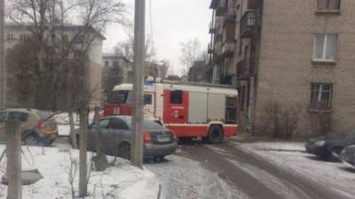 Сотрудники МЧС спасли из горящей квартиры на Московском шоссе пять кошек