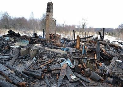 В Путятинском районе у молодой семьи сгорел дом
