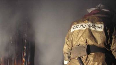 Пожарные спасли девушку и пять кошек из горящей квартиры в Петербурге