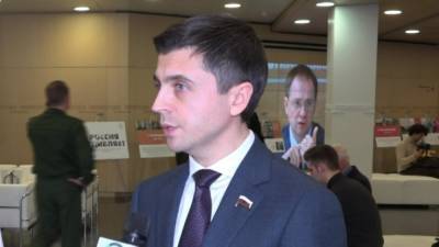 Депутат РФ посоветовал Климкину вернуться к реальности в крымском вопросе