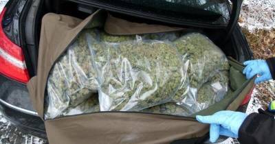 Эстония: банда наркоторговцев возила кокаин и марихуану через Латвию
