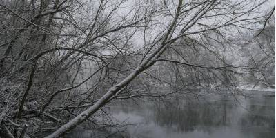 «Погода на любителя». Синоптик прогнозирует дождь, мокрый снег и сильный ветер в Украине