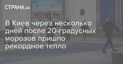 Борис Срезневский - В Киев через несколько дней после 20-градусных морозов пришло рекордное тепло - strana.ua - Киев