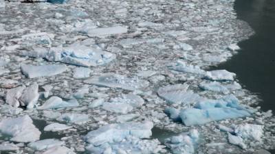 Глобальные потери льда на Земле оценили в 28 трлн тонн