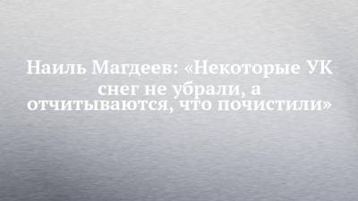 Наиль Магдеев: «Некоторые УК снег не убрали, а отчитываются, что почистили»