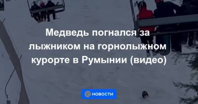 Медведь погнался за лыжником на горнолыжном курорте в Румынии (видео)