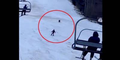 Очевидцы сняли погоню медведя за лыжником на курорте в Румынии — видео
