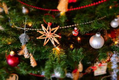 Треть жителей Петербурга не готовы попрощаться с новогодней елкой