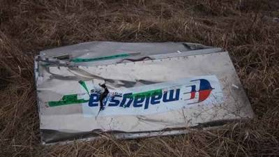 Антипов объяснил, как прошлое голландского прокурора повлияет на дело MH17