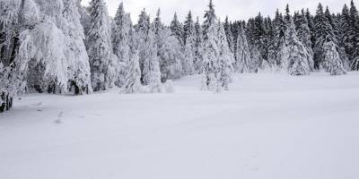 Ухудшение погоды: в Карпатах выпало около метра снега