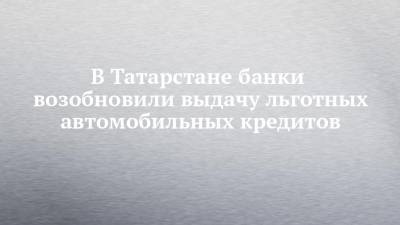 В Татарстане банки возобновили выдачу льготных автомобильных кредитов