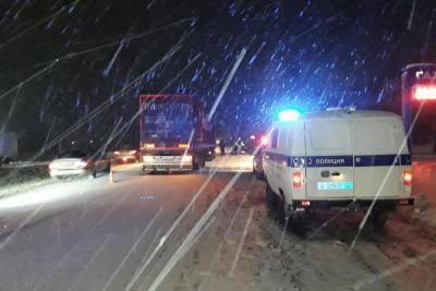 Водитель большегруза насмерть сбил пешехода на М7 в Чувашии