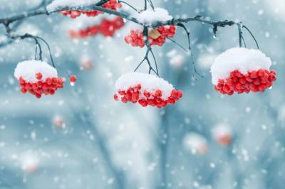 Оттепели и небольшие морозы: какой будет погода в феврале