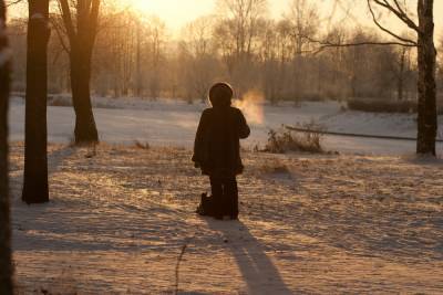 В Петербурге 26 января ожидается мокрый снег и до +2 градусов