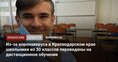 Из-за коронавируса в Краснодарском крае школьники из 30 классов переведены на дистанционное обучение