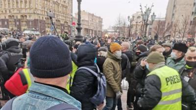 Госдума зафиксировала более 60 фейков о незаконных митингах