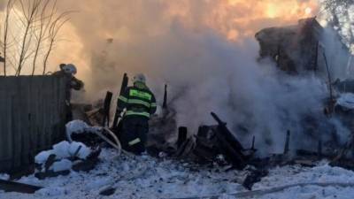 Пенсионерка в Липецкой области пыталась сжечь заживо престарелого отца