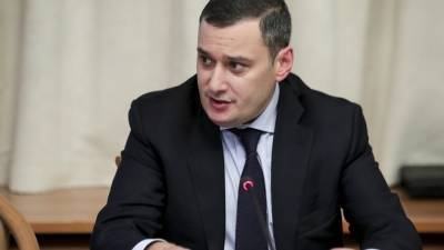 Депутат Хинштейн назвал число выявленных фейков о митингах в России