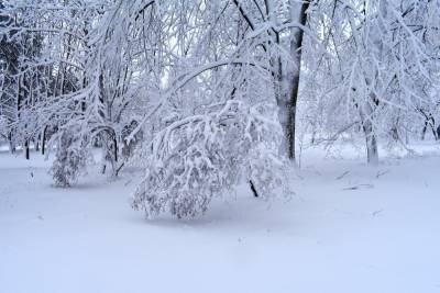 Снег до 30 сантиметров и угроза схода лавин: в Украину возвращается зима