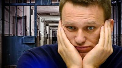 Химкинская прокуратура подтвердила законность ареста Навального