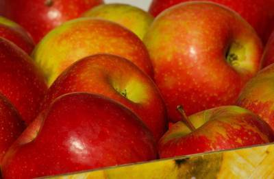 Яблоки за неделю подскочили в цене на 25%