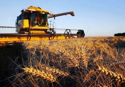 Украине не суждено стать «аграрной державой» — сельхозпроизводство терпит убытки