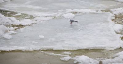 В Черкасской области нашли тела двух взрослых и ребенка, которые провалились под лед: что известно