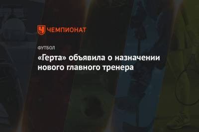 «Герта» объявила о назначении нового главного тренера