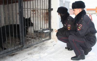 Студентам института МВД показали, как работают полицейские собаки